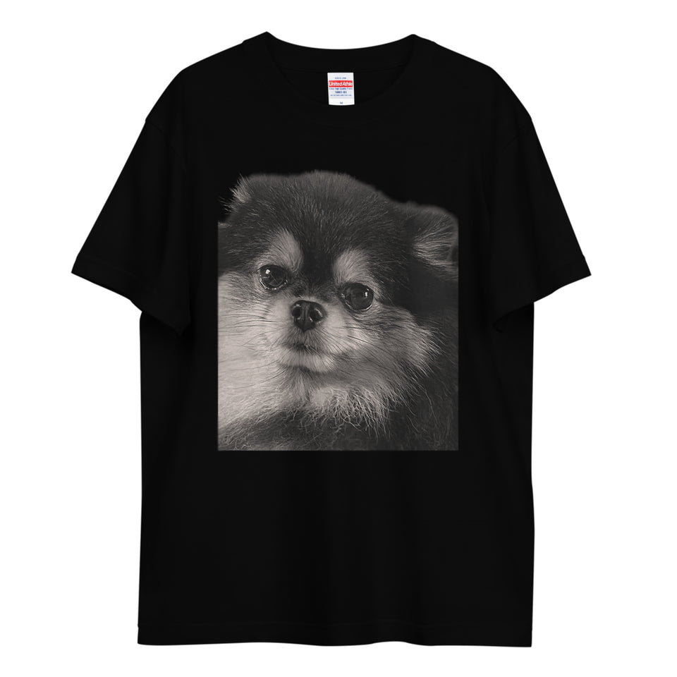 UNTO — ペットTシャツ