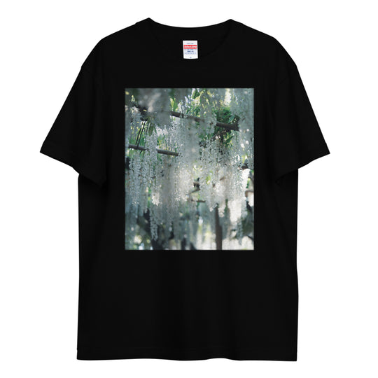 Wisteria | UNTO LABEL